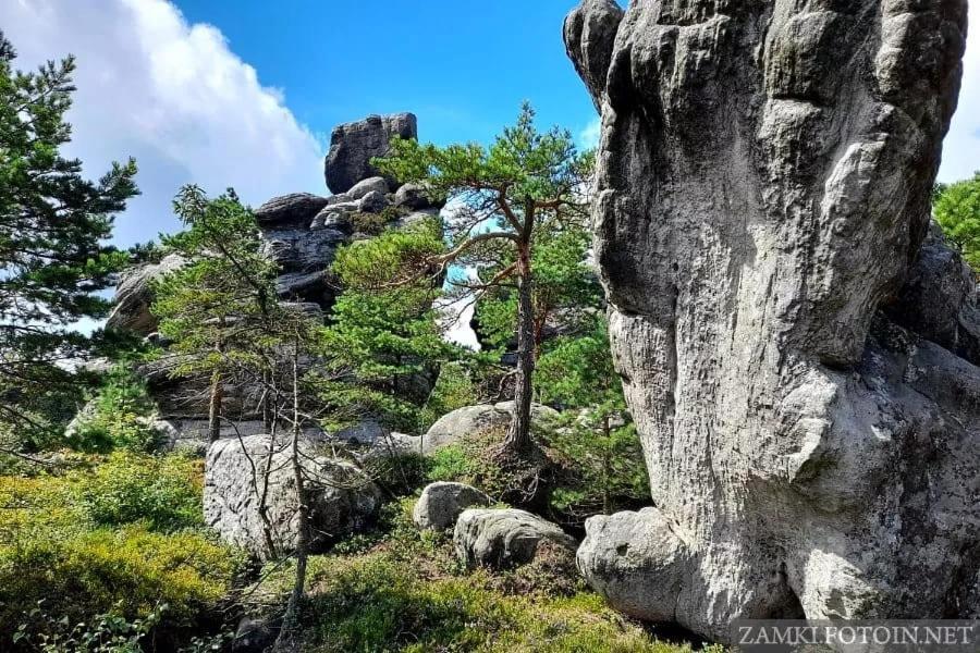 Pokoje U Filipa Kudowa Zdroj Ngoại thất bức ảnh